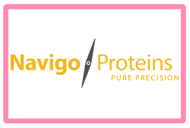 Navigo Proteins
